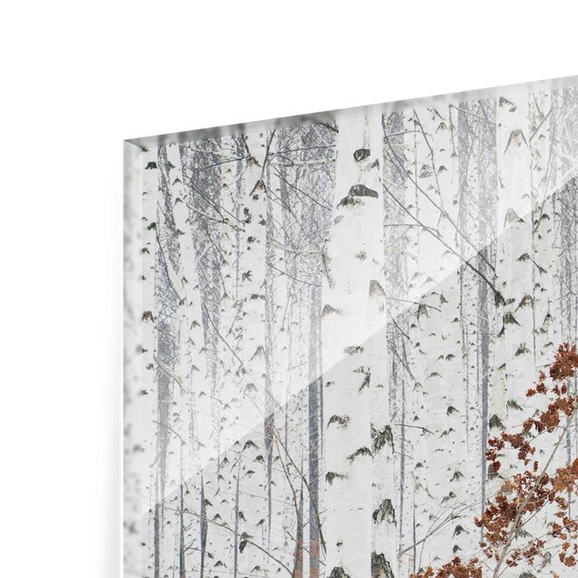 Black and white wall art Birch Trees In Autumn