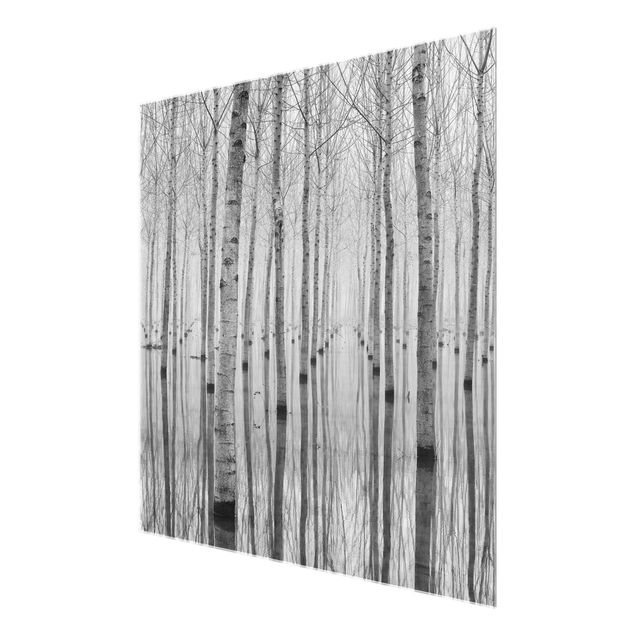 Modern art prints Birches In November