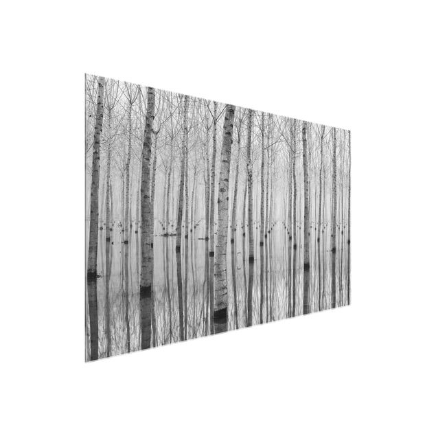 Glass prints black and white Birches In November