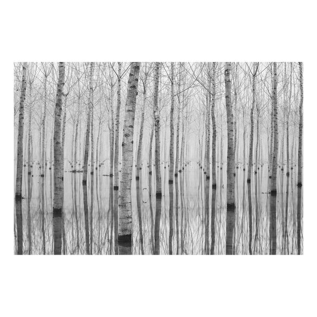 Glass prints landscape Birches In November