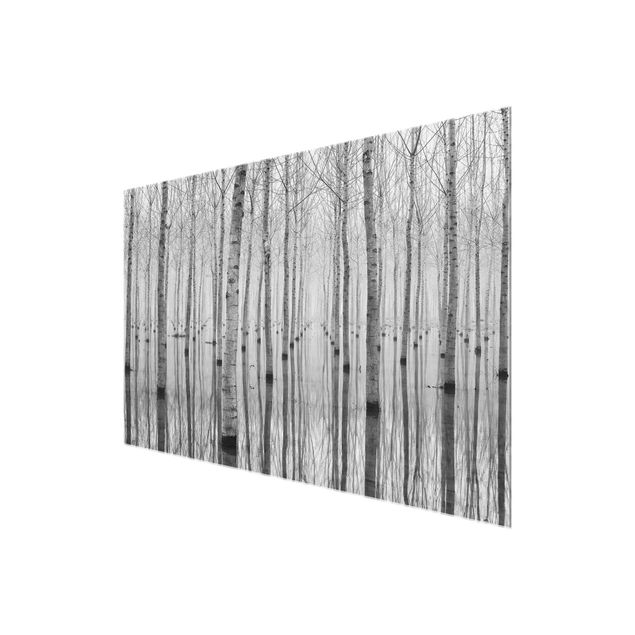 Modern art prints Birches In November