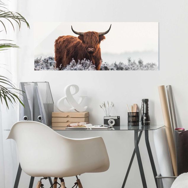 Glass prints pieces Bison In The Highlands