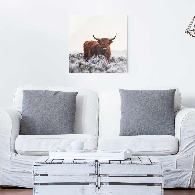 Glass prints pieces Bison In The Highlands