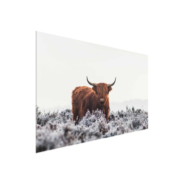 Modern art prints Bison In The Highlands
