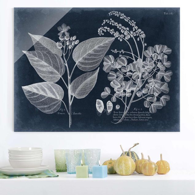 Glass prints flower Foliage Dark Blue - Annotto