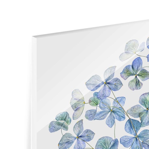 Glas Magnetboard Blue Hydrangea Flowers