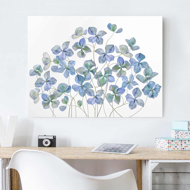 Kitchen Blue Hydrangea Flowers