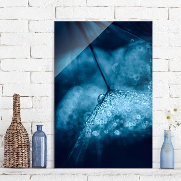 Glass prints dandelion clock Blue Dandelion In The Rain