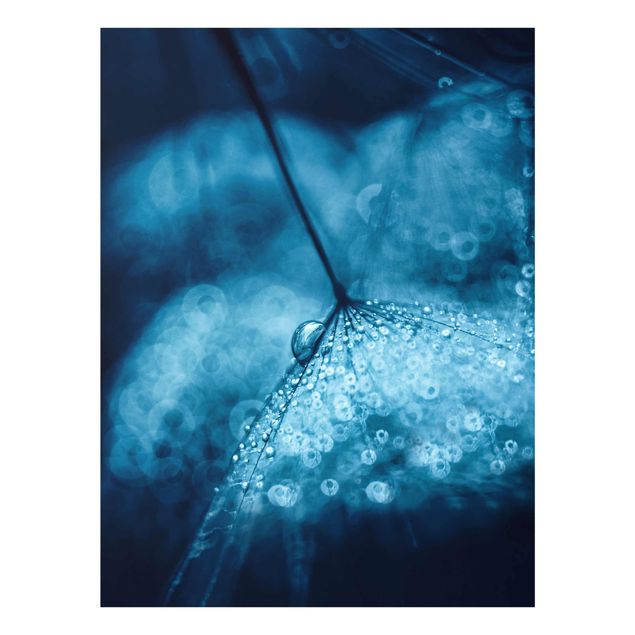 Floral prints Blue Dandelion In The Rain