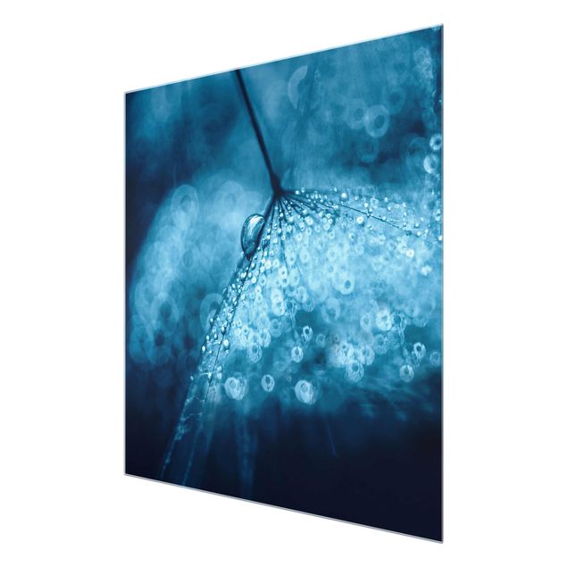 Navy blue wall art Blue Dandelion In The Rain