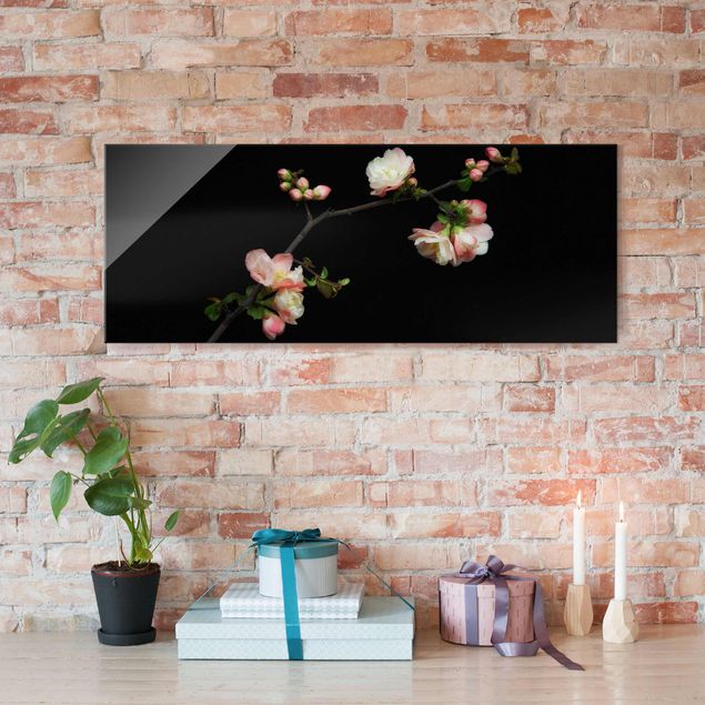 Glass prints flower Blossoming Branch Apple Tree