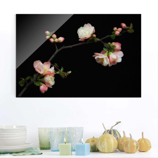 Glass prints flower Blossoming Branch Apple Tree