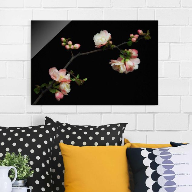 Floral canvas Blossoming Branch Apple Tree
