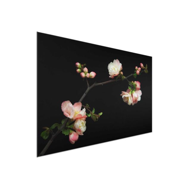 Floral picture Blossoming Branch Apple Tree