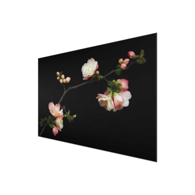Glas Magnetboard Blossoming Branch Apple Tree