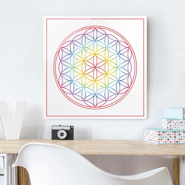 Kitchen Flower of life Colourful