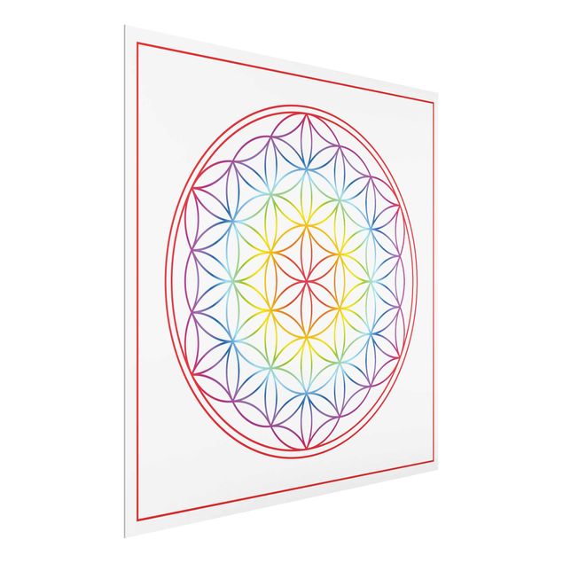 Prints patterns Flower of life Colourful