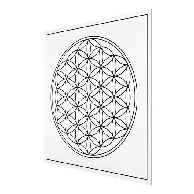 Prints Flower of life black and white