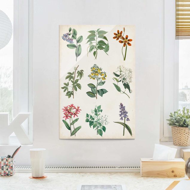 Glass prints flower Botanical Poster I