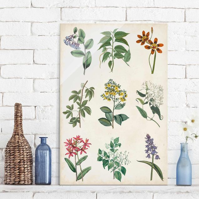 Kitchen Botanical Poster I