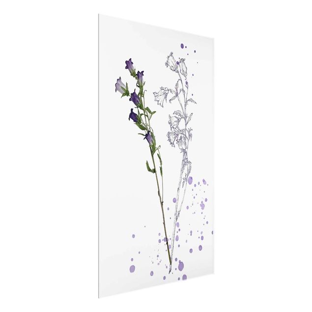 Floral canvas Botanical Watercolour - Bellflower
