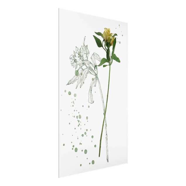 Floral picture Botanical Watercolour - Lily