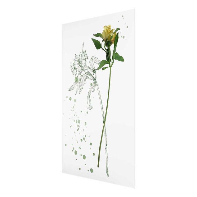 Glas Magnetboard Botanical Watercolour - Lily