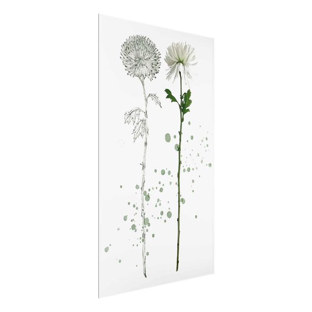 Prints floral Botanical Watercolour - Dandelion