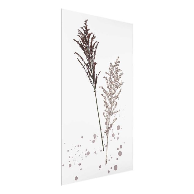 Prints flower Botanical Watercolour - Fescue Reed