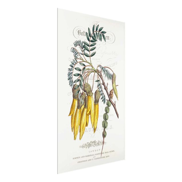 Flower print Botanical Tableau - Schnurbaum