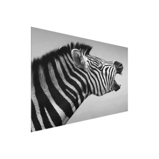 Glass prints pieces Roaring Zebra ll