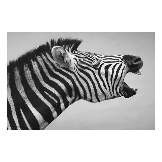 Prints animals Roaring Zebra ll
