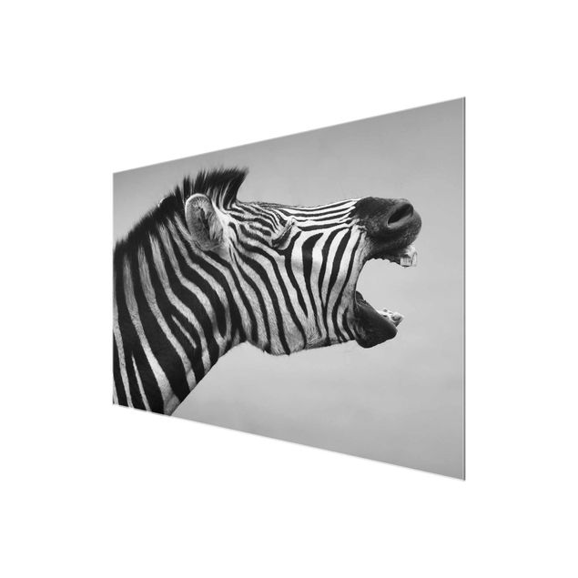 Prints black and white Roaring Zebra ll