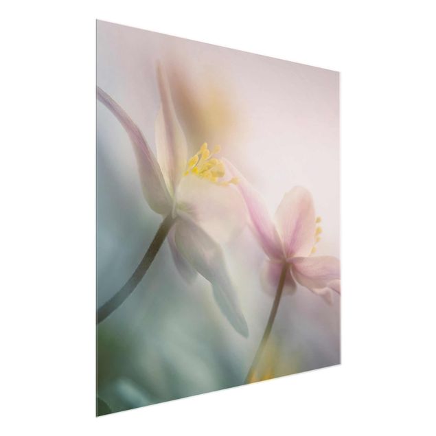 Prints flower Wood anemone