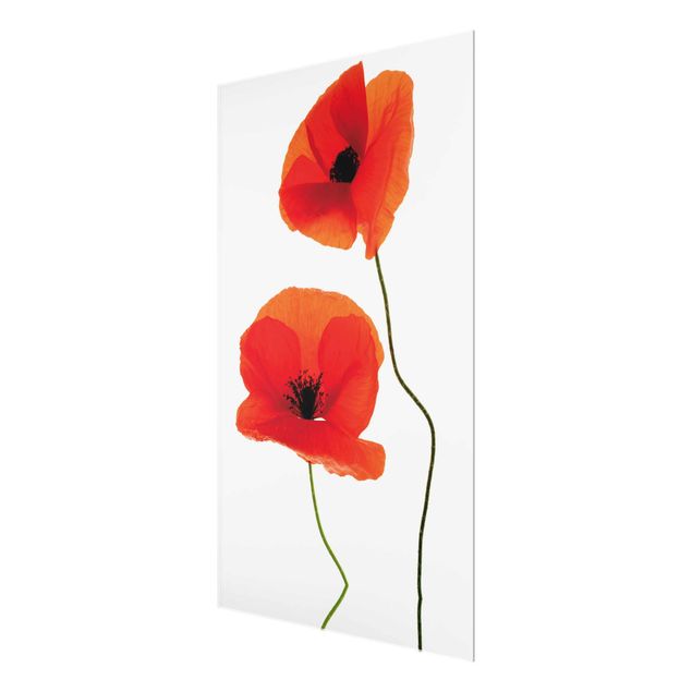 Floral canvas Charming Poppies