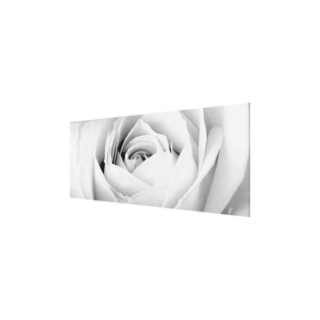 Glass prints black and white Close Up Rose