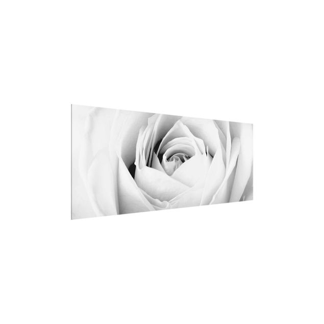 Black and white art Close Up Rose
