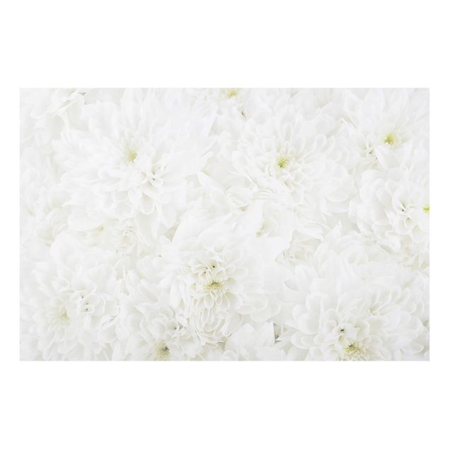 Floral prints Dahlias Sea Of Flowers White