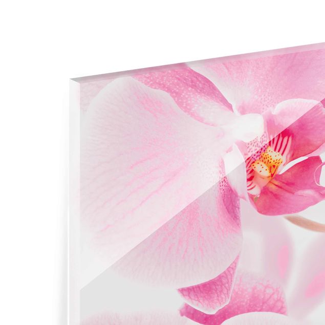 Prints Delicate Orchids