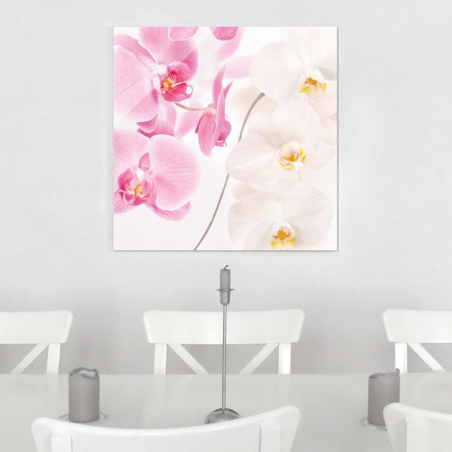 Orchid print Delicate Orchids