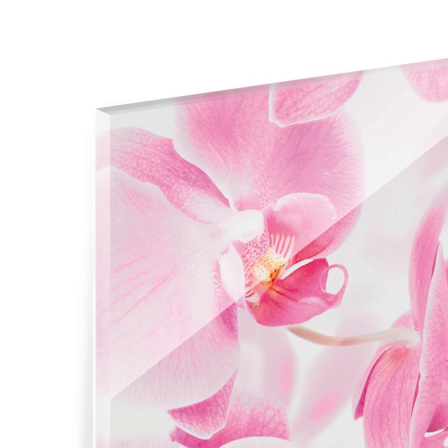 Prints Delicate Orchids