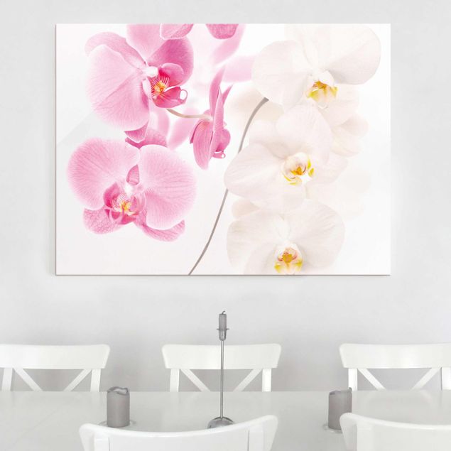 Glass prints orchid Delicate Orchids