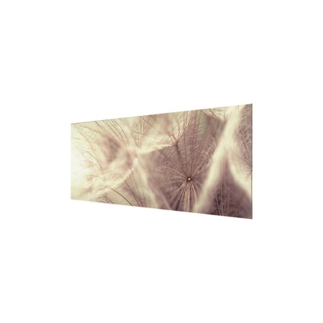 Prints Detailed Dandelion Macro Shot With Vintage Blur Effect