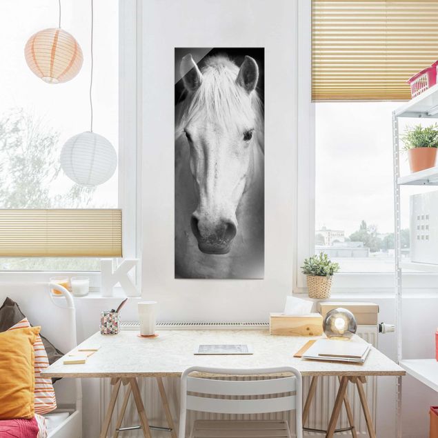 Glass prints black and white Dream Of A Horse