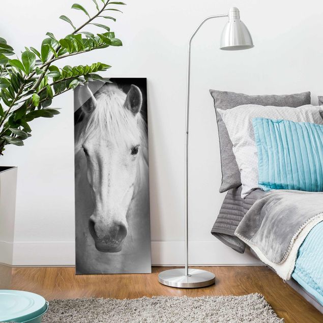 Glass prints pieces Dream Of A Horse