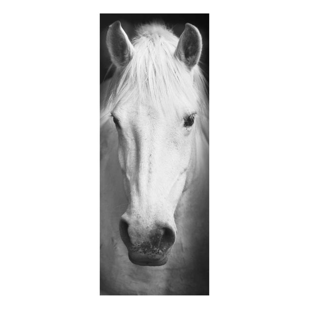 Black and white art Dream Of A Horse