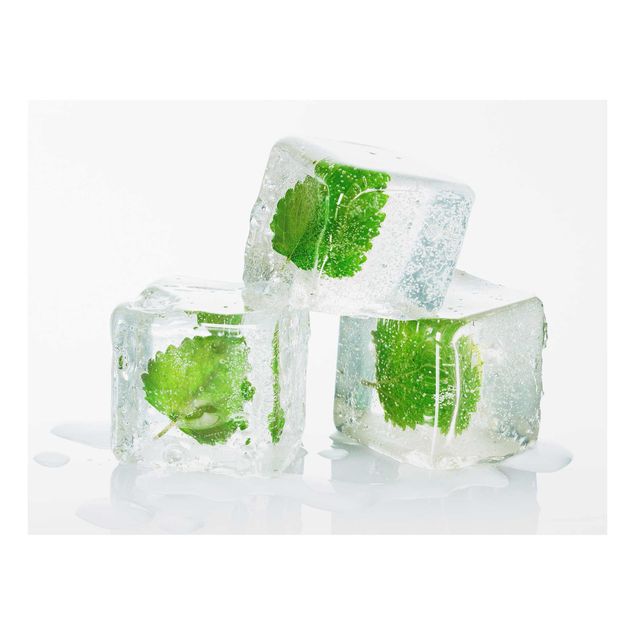 Glas Magnetboard Three Ice Cubes With Lemon Balm