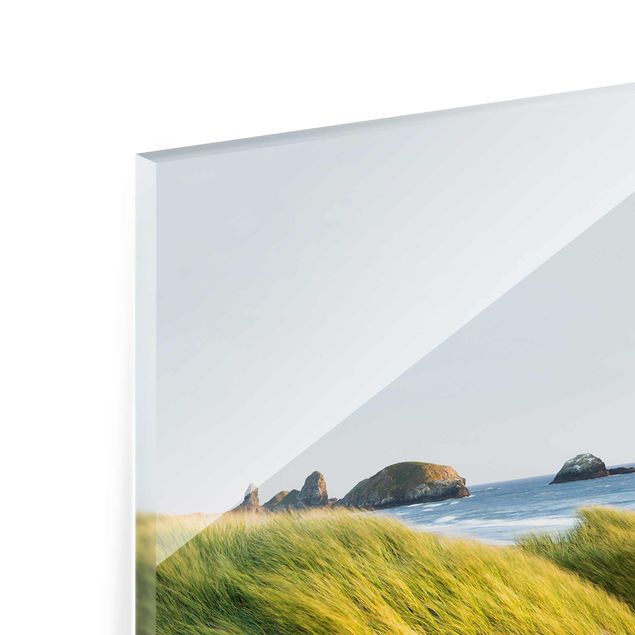 Glass prints beach Dunes And Grasses At The Sea