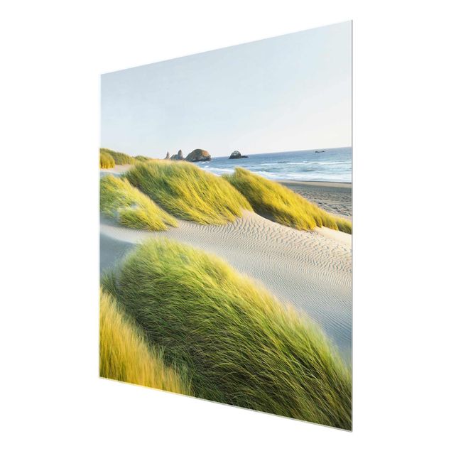 Glass prints landscape Dunes And Grasses At The Sea