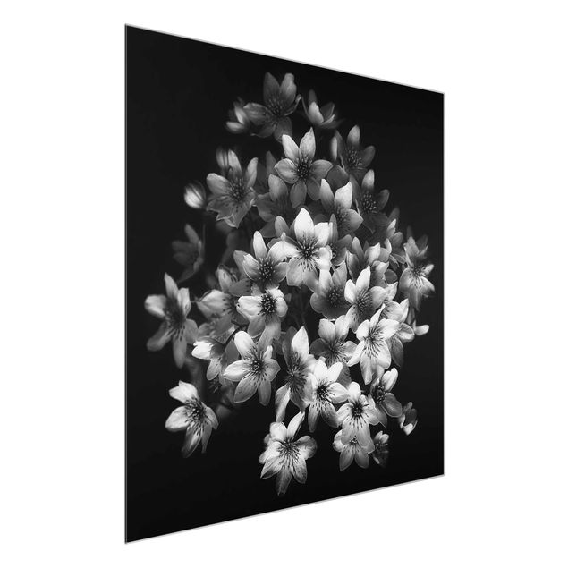 Flower print Dark Clematis Bunch